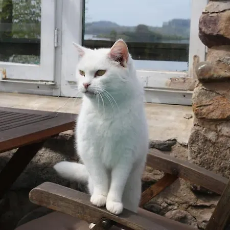 Mit Grossem Garten Und Blick Zum Apartment Furstenwerder