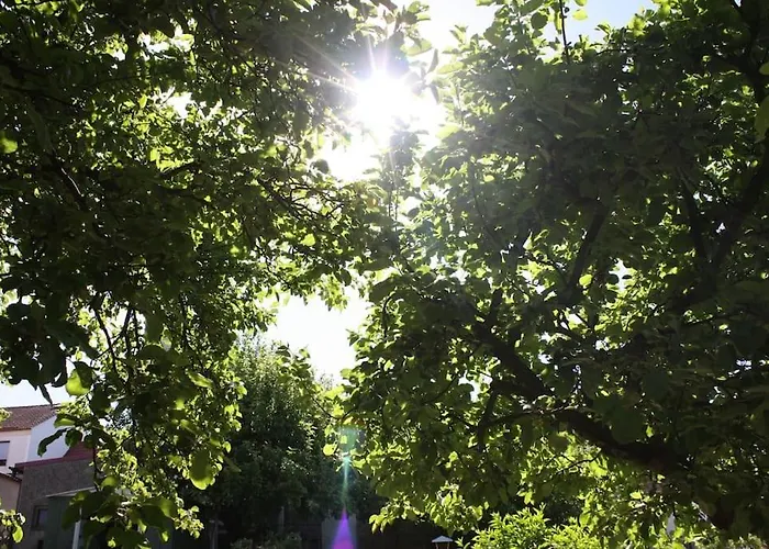 Mit Grossem Garten Und Blick Zum * Furstenwerder