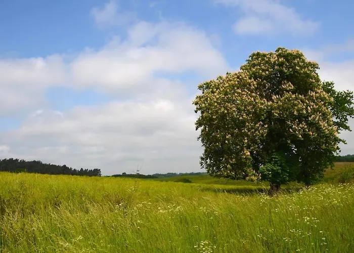 Mit Grossem Garten Und Blick Zum Furstenwerder