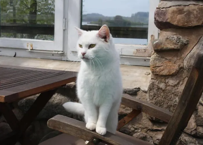 Mit Grossem Garten Und Blick Zum Appartement Furstenwerder